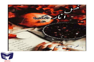 دانلود رمان فصل انار از فائزه عامری با لینک مستقیم برای موبایل و کامپیوتر